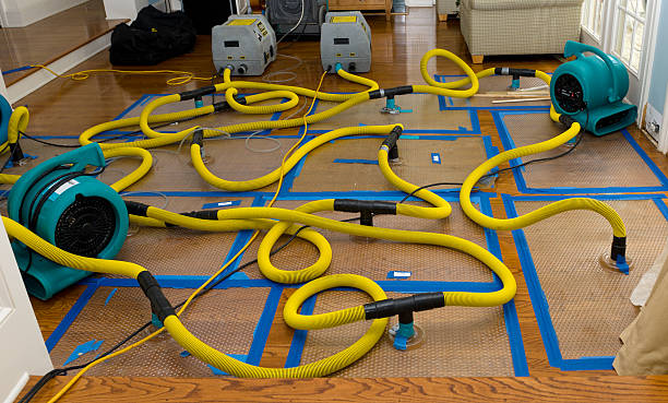 Professional Water Damage Repair technician working in Iron City, TN
